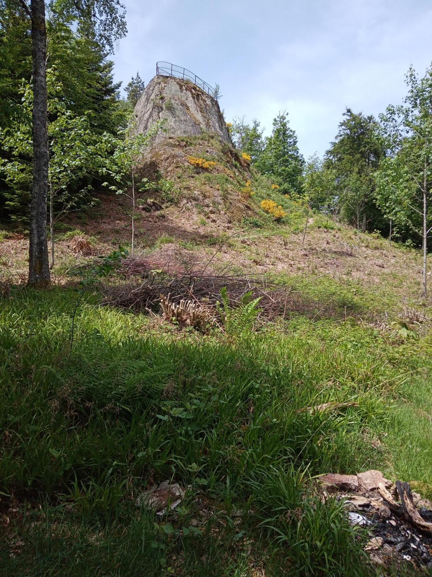 Ferienwohnung Urlaub auf dem Hänslehof Elzach Exterior foto